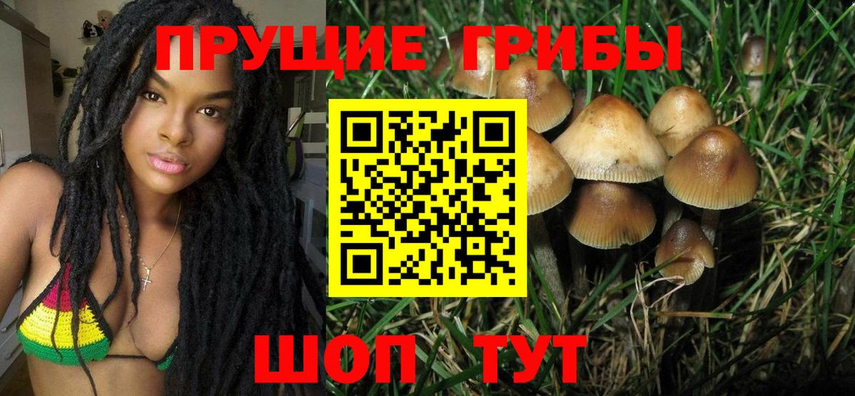 Строитель  Псилоцибиновые грибы мицелий  Вход с VPN 