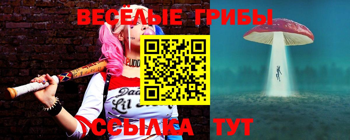 Галлюциногенные грибы MAGIC MUSHROOMS Строитель